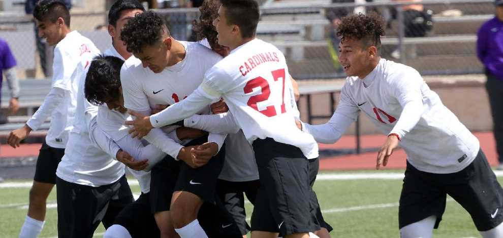 Cardinal Soccer 